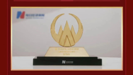 pp電子app官網(wǎng)（002219）榮獲“最具社會(huì)責(zé)任上市公司”稱(chēng)號(hào)