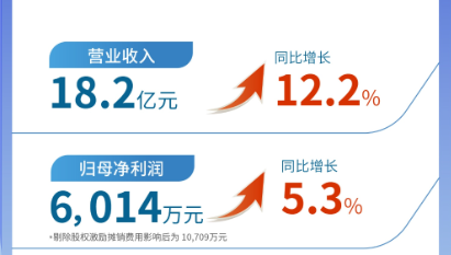 pp電子app官網(wǎng)（002219）發(fā)布2024年半年報：營業(yè)收入及扣非歸母凈利潤均實現(xiàn)雙位數(shù)增長