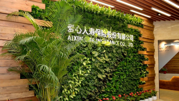 pp電子app官網(wǎng)健康集團第三次增資愛心人壽獲批，新“國十條”助力醫(yī)療和保險深度融合