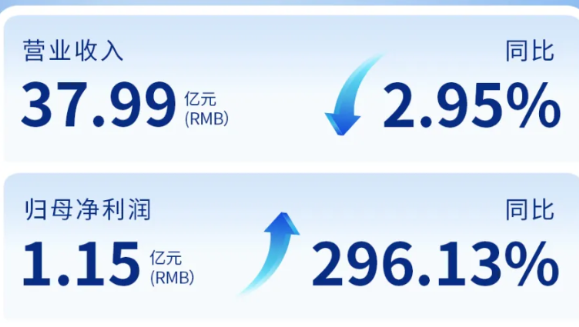 pp電子app官網(wǎng)（002219）發(fā)布2024年年度報(bào)告：歸母凈利潤(rùn)增長(zhǎng)296%